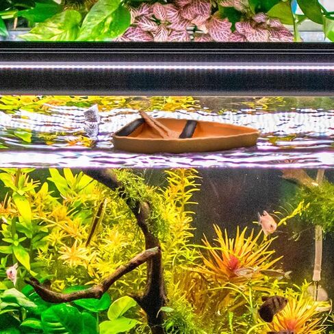 Chatelet Decorative Floating Toy Boat for Aquariums | Rowboat for Aquariums | Fish Shrimp or Snail Aquarium Boat Decor | Made in USA (Large) in Saudi Arabia