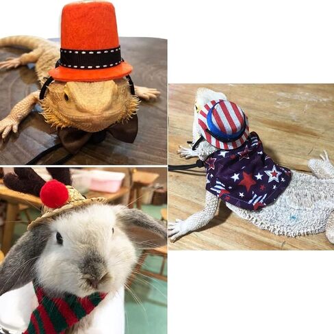 18Pcs Bearded Dragon Festival Costumes, Lizard Hats Clothes at Birthday Halloween Christmas, Festive Costume Accessories Set for Gecko Chameleon Iguana Hamster Ferret Reptile (Boy Set/18 Pcs) in Kuwait
