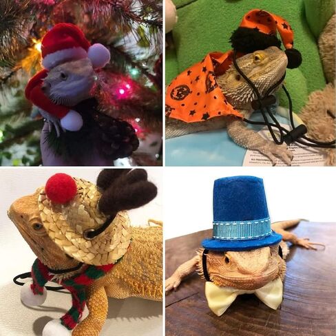 18Pcs Bearded Dragon Festival Costumes, Lizard Hats Clothes at Birthday Halloween Christmas, Festive Costume Accessories Set for Gecko Chameleon Iguana Hamster Ferret Reptile (Boy Set/18 Pcs) in Kuwait