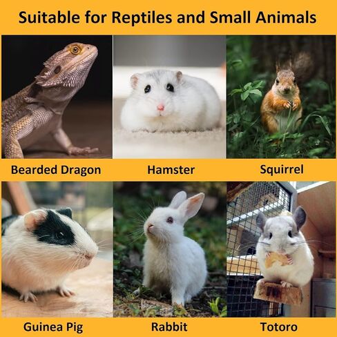 18Pcs Bearded Dragon Festival Costumes, Lizard Hats Clothes at Birthday Halloween Christmas, Festive Costume Accessories Set for Gecko Chameleon Iguana Hamster Ferret Reptile (Boy Set/18 Pcs) in Kuwait