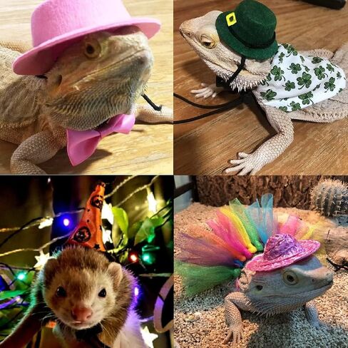 18Pcs Bearded Dragon Festival Costumes, Lizard Hats Clothes at Birthday Halloween Christmas, Festive Costume Accessories Set for Gecko Chameleon Iguana Hamster Ferret Reptile (Boy Set/18 Pcs) in Kuwait