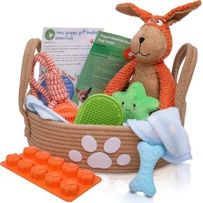Premium Puppy Starter Kit - New Puppy Gift Basket with Essentials, Toy Box, Treat Tray, Training Supplies, Chew & Squeaky Toys for Puppies and Small Dogs - Complete Dog Must Haves for New Dog Owners in Saudi Arabia