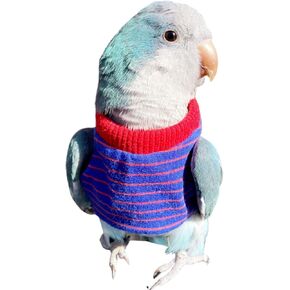 Bird Clothes - Handmade Cotton Stripe Shirt Round Collar Sweater Flight Suit for Parrots African Greys Parakeet Cockatiel Sun Conure Christmas Halloween Cosplay Apparel Bird Supplies (L,Orange) in Saudi Arabia