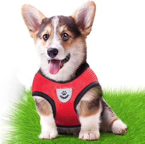Pet Harness Pet Supplies Collar Breathable Chihuahua Pug Bulldog Cat Puppy Vest(S,Purple) in Saudi Arabia