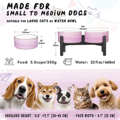 Ceramic Elevated Dog Bowl Set - Dog Feeder Station with Colorful Double Bowls for Small and Medium Size Breed - Non-Slip Raised Dish for Food and Water Feeding- 6 Inch - 3.5 Cups / 22 fl oz - Purple in Saudi Arabia