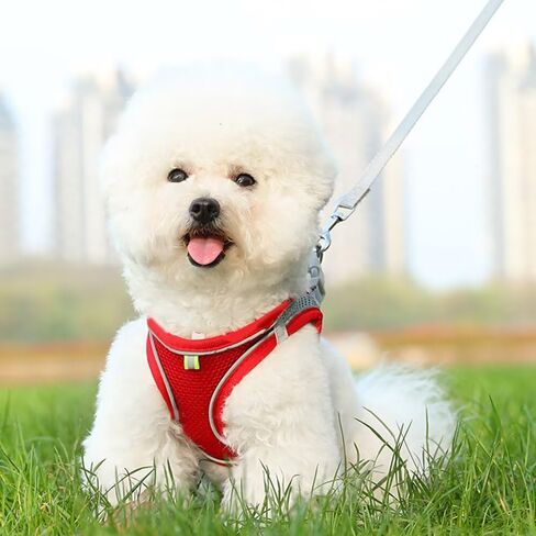Red Breathable Mesh Pet Harness and Leash Set, Adjustable Soft Vest for Small Dogs/Cats, No - Hair - Sticking, Reflective Strips for Safety in Saudi Arabia