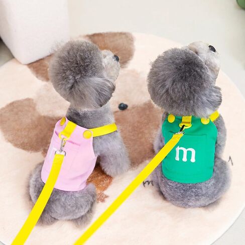 Small Dog Harness Leash Set - Embroidered M Design, Comfortable & Stylish Pet Vest with Leash in Saudi Arabia