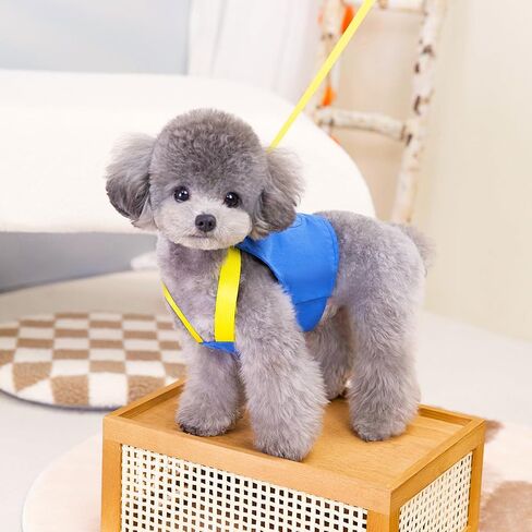 Small Dog Harness Leash Set - Embroidered M Design, Comfortable & Stylish Pet Vest with Leash in Saudi Arabia