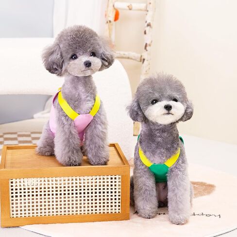 Small Dog Harness Leash Set - Embroidered M Design, Comfortable & Stylish Pet Vest with Leash in Saudi Arabia