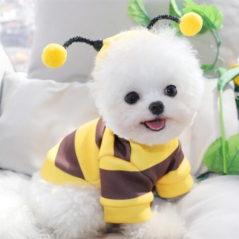 Dog Cat Hoodie Cartoon Cosplay Costumes Polyester Cat Dog Bee Hoodie(M) in Saudi Arabia