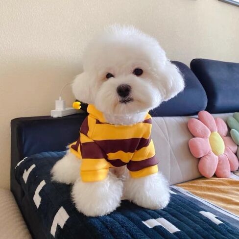 Dog Cat Hoodie Cartoon Cosplay Costumes Polyester Cat Dog Bee Hoodie(M) in Saudi Arabia