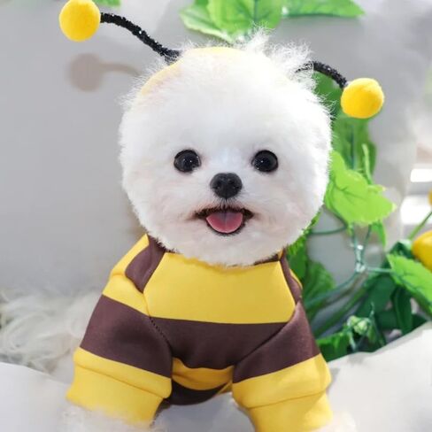 Dog Cat Hoodie Cartoon Cosplay Costumes Polyester Cat Dog Bee Hoodie(M) in Saudi Arabia