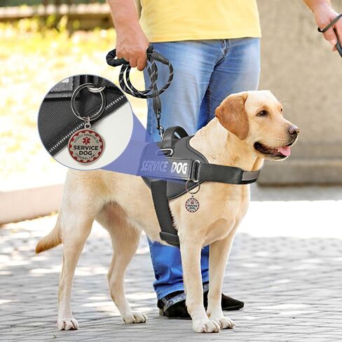 خدمة Voopet Dog Stest Harness+ علامة الهوية ومجموعة المقود+ 6 بقع ، لا تسخير الكلب العاكس القابل للتعديل للتدريب ، مناسبة للكلاب الصغيرة والكبيرة. in Saudi Arabia