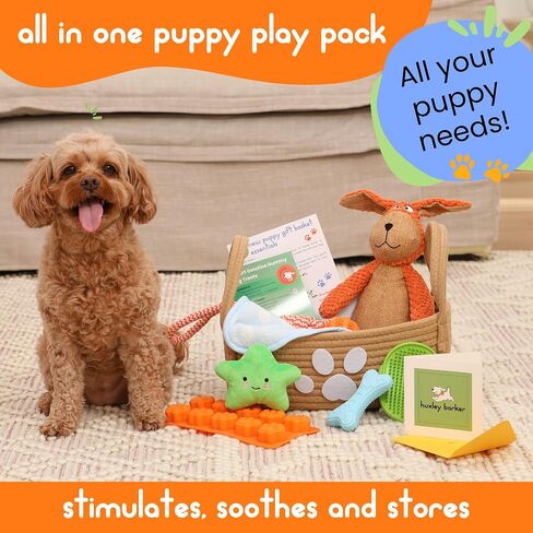 مجموعة Premium Puppy Starter Kit - سلة هدايا جديدة للجراء تحتوي على الأساسيات، وصندوق ألعاب، وصينية مكافآت، ومستلزمات تدريب، وألعاب مضغ وتصدر أصواتًا للجراء والكلاب الصغيرة - يجب أن يمتلكها أصحاب الكلاب الجدد in Saudi Arabia