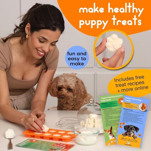 مجموعة Premium Puppy Starter Kit - سلة هدايا جديدة للجراء تحتوي على الأساسيات، وصندوق ألعاب، وصينية مكافآت، ومستلزمات تدريب، وألعاب مضغ وتصدر أصواتًا للجراء والكلاب الصغيرة - يجب أن يمتلكها أصحاب الكلاب الجدد in Saudi Arabia