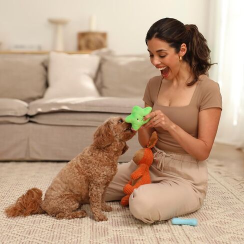مجموعة Premium Puppy Starter Kit - سلة هدايا جديدة للجراء تحتوي على الأساسيات، وصندوق ألعاب، وصينية مكافآت، ومستلزمات تدريب، وألعاب مضغ وتصدر أصواتًا للجراء والكلاب الصغيرة - يجب أن يمتلكها أصحاب الكلاب الجدد in Saudi Arabia
