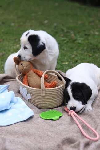 مجموعة Premium Puppy Starter Kit - سلة هدايا جديدة للجراء تحتوي على الأساسيات، وصندوق ألعاب، وصينية مكافآت، ومستلزمات تدريب، وألعاب مضغ وتصدر أصواتًا للجراء والكلاب الصغيرة - يجب أن يمتلكها أصحاب الكلاب الجدد in Saudi Arabia