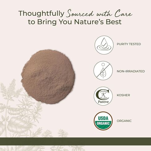 Starwest Botanicals Burdock Root Powder, 1 Pound in Saudi Arabia