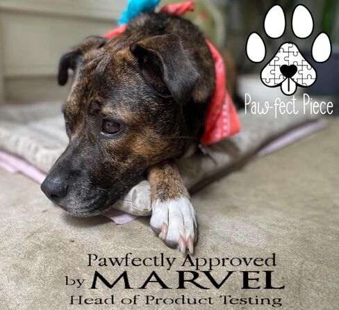 قطعة Paw-FECT - لعبة مضغ الكلب لتوابل اليقطين للشتاء/الخريف المضحكة لكوب القهوة/كوب الآيس كريم - لعبة صرير قطيفة للكلاب الصغيرة/المتوسطة/الكبيرة، هدية فريدة ومرحة لجميع المناسبات in Saudi Arabia