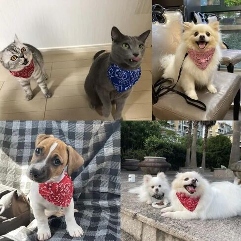 Stylish & Comfy Dog Bandanas – Reversible & Adjustable, Blue, S in Saudi Arabia