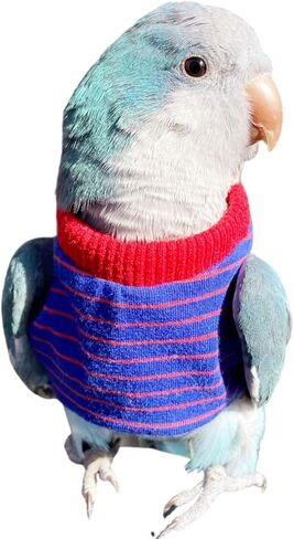 Bird Clothes - Handmade Cotton Stripe Shirt Round Collar Sweater Flight Suit for Parrots African Greys Parakeet Cockatiel Sun Conure Christmas Halloween Cosplay Apparel Bird Supplies (L,Orange) in Saudi Arabia