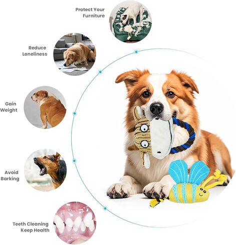 Bzonsmart قطعتان من ألعاب الكلاب، ألعاب للكلاب من القطيفة تصدر أصواتًا للكلاب الصغيرة والمتوسطة الحجم، ألعاب جرو محشوة ناعمة لطيفة لتنظيف الأسنان والتخلص من الملل. ألعاب للكلاب لإبقائهم مشغولين in Kuwait