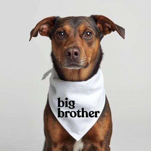 Big Brother Dog Bandana إعلان حمل الطفل وشاح الحيوانات الأليفة من القطن الأبيض للحامل الجرو الجديد لالتقاط الصور (كبير) in Saudi Arabia