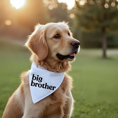 Big Brother Dog Bandana إعلان حمل الطفل وشاح الحيوانات الأليفة من القطن الأبيض للحامل الجرو الجديد لالتقاط الصور (كبير) in Saudi Arabia