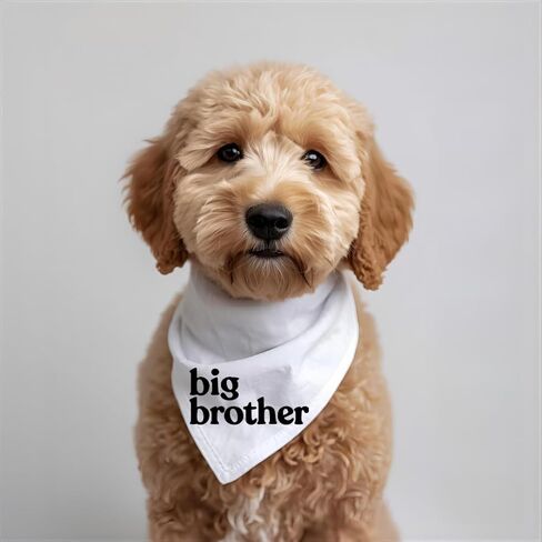 Big Brother Dog Bandana إعلان حمل الطفل وشاح الحيوانات الأليفة من القطن الأبيض للحامل الجرو الجديد لالتقاط الصور (كبير) in Saudi Arabia