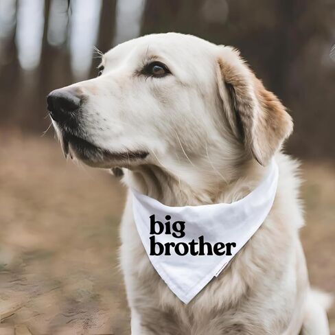 Big Brother Dog Bandana إعلان حمل الطفل وشاح الحيوانات الأليفة من القطن الأبيض للحامل الجرو الجديد لالتقاط الصور (كبير) in Saudi Arabia