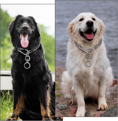 Dog Chain Collar, Silver Stainless Steel Metal Chew Proof Dog Collars Adjustable Walking Training Puppy Collar Choker Chain for Small Medium Dogs (Small) in Saudi Arabia