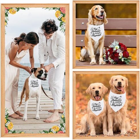 Dog Bandanas, Wedding Bandana, Engagement Gift for Animal, My Humans are Getting Married, Wedding Photo Prop, Pet Scarf for Dog Engagement Announcement, Pet Accessories (Black) in Saudi Arabia