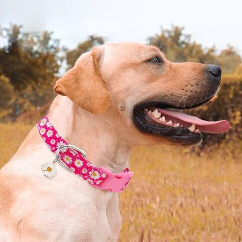 Fashion Art Patterned Pet Collar Adjustable for Dogs Adjustable Buckle Dog Collar in Saudi Arabia