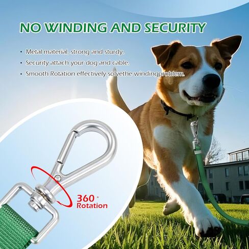 مقود كلب Wisedog بطول 16 قدمًا بدون استخدام اليدين، مقبض مبطن للراحة والأمان ومشبك معدني شديد التحمل - مقود بمقبضين للكلاب بطول قابل للتعديل للتدريب على المشي والجري (لون رملي) in Kuwait