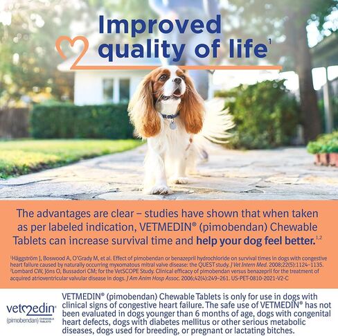 VETMEDIN® (بيموبندان) أقراص قابلة للمضغ للكلاب، 1.25 ملغ، موسع، 50 قيراط in Kuwait