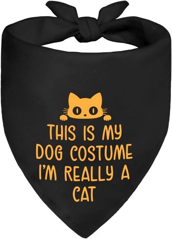 This is My Dog Costume I'm Really A Cat Black Dog Bandana, Christmas Birthday Gifts for Pet Lover, Funny Pet Scarf Accessory Photo Prop, Humor Pup Costume for Christmas Birthday Celebration in Kuwait