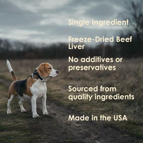 MVPChews | Single Ingredient Beef Liver Dog Treats 3.5oz | Freeze Dried Raw | Premium Quality High Protein Training Treats | No Additives | No Fillers | No Grain | Gluten Free in Saudi Arabia