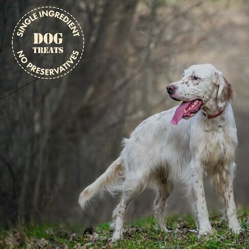 MVPChews | Single Ingredient Beef Liver Dog Treats 3.5oz | Freeze Dried Raw | Premium Quality High Protein Training Treats | No Additives | No Fillers | No Grain | Gluten Free in Saudi Arabia