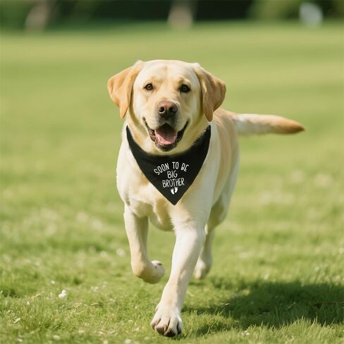 I was Supposed to Be an Only Child Dog Bandana Pregnancy Announcement, Funny Girl Dog Bandana, Pet Scarf Accessories for Dogs Lovers, Pregnancy Reveal Ideas for Pet Lovers Gifts in Saudi Arabia