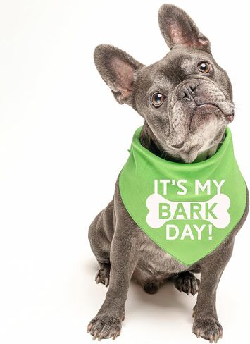 It's My Barkday! Birthday Funny Dog Bandana | 100% Cotton Triangle | Made in USA | Birthday Pawty | Party Theme | Celebration Supplies | Photoshoot Prop | Black, One Size (179) in Saudi Arabia
