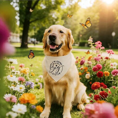 I'm Going to Be Abig Sister Dog Bandana، ملحقات وشاح الكلب الأليف باللون البيج، إعلان الحمل للطفل، وشاح مثلث للكلاب الأليفة، باندانا للحيوانات الأليفة للكلاب الصغيرة والمتوسطة in Kuwait