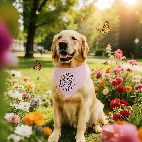 I'm Going to Be Abig Sister Dog Bandana، ملحقات وشاح الكلب الأليف باللون البيج، إعلان الحمل للطفل، وشاح مثلث للكلاب الأليفة، باندانا للحيوانات الأليفة للكلاب الصغيرة والمتوسطة in Kuwait
