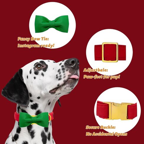 Maca Bates Dog Collar with Bow Bowtie for Dogs Solid Colors Sailor Bow Tie Adjustable Breakaway Red Collars Accessories Birthday Gift for Small Medium Large XL Puppy with Golden Metal Buckle in Kuwait