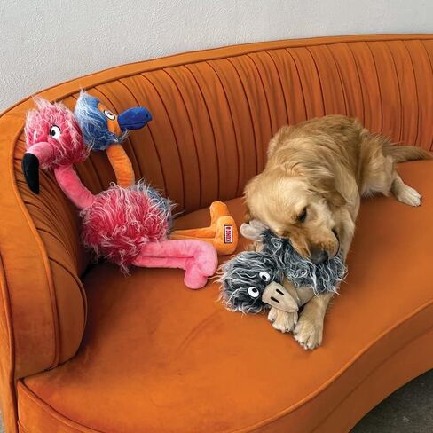 KONG Company 38750911: Comfort Jumbo Birds Dog Toy, XL in Saudi Arabia