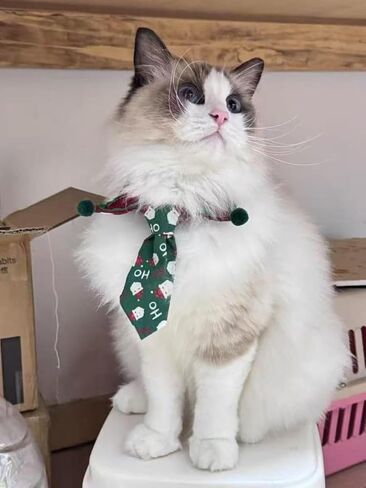 Christmas Dog Tie, Adjustable Scarf, Suitable for Small and Medium-Sized Pets, Party and Family Photos (Deep Red,XL(45-55cm)) in Saudi Arabia