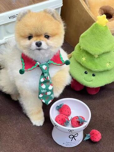 Christmas Dog Tie, Adjustable Scarf, Suitable for Small and Medium-Sized Pets, Party and Family Photos (Deep Red,XL(45-55cm)) in Saudi Arabia