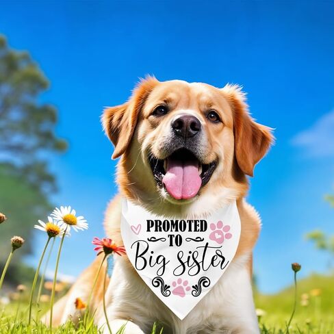 Dog Bandana, Promoted to Big Sister Dog Bandana, Classic Check Print Dog's Scarf, Dog's Scarf Accessories, Pets Plaid Muffle Gender Reveal Accessories, Pet Muffle D2 in Saudi Arabia