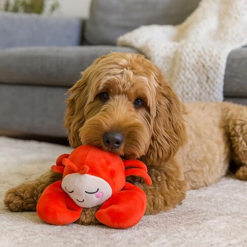 NANDOG My BFF Buzz The BEE Plush Dog Toy Dream Collection – Soft Squeaky Toys for Dogs & Cats – Durable, Cuddly & Adorable Pet Companions for Playtime, Fetch & Snuggles in Saudi Arabia