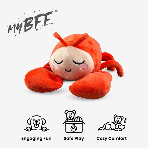NANDOG My BFF Buzz The BEE Plush Dog Toy Dream Collection – Soft Squeaky Toys for Dogs & Cats – Durable, Cuddly & Adorable Pet Companions for Playtime, Fetch & Snuggles in Saudi Arabia