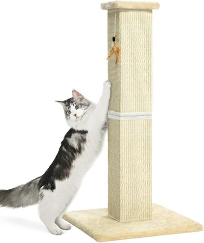 Made4Pets Cat Scratching Post, 32 Inch Natural Sisal Cat Scratcher with Kitten Toy, Tall Scratching Post for Indoor Cats Adults and Kittens, Beige in Kuwait